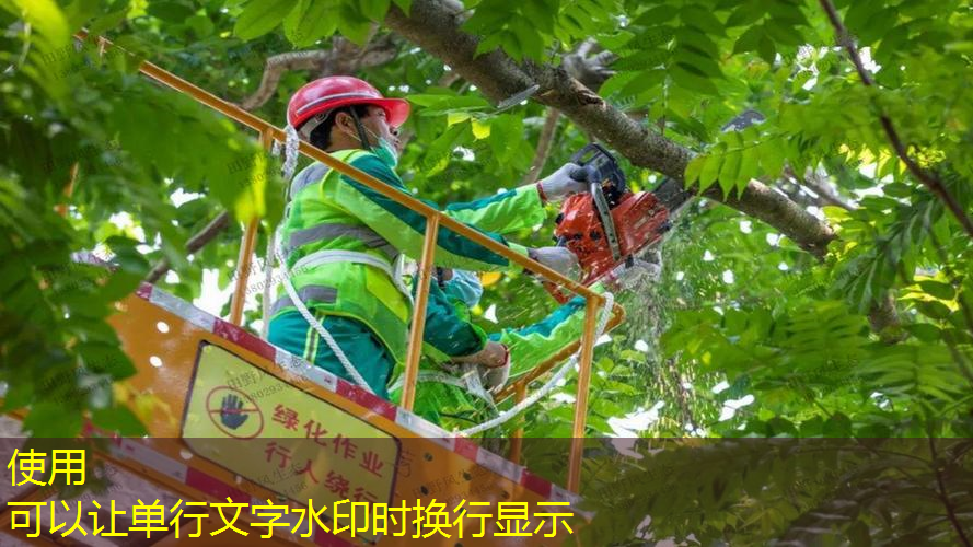 单杠颈椎牵引单杠：锻炼与治疗并行，效果翻倍！