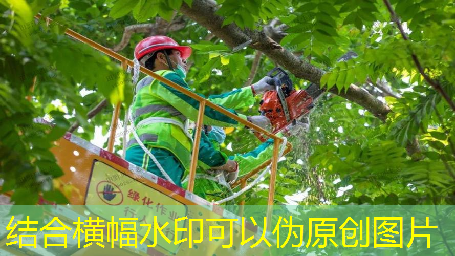 挑选塑胶跑道材料无忧：标准一文掌握